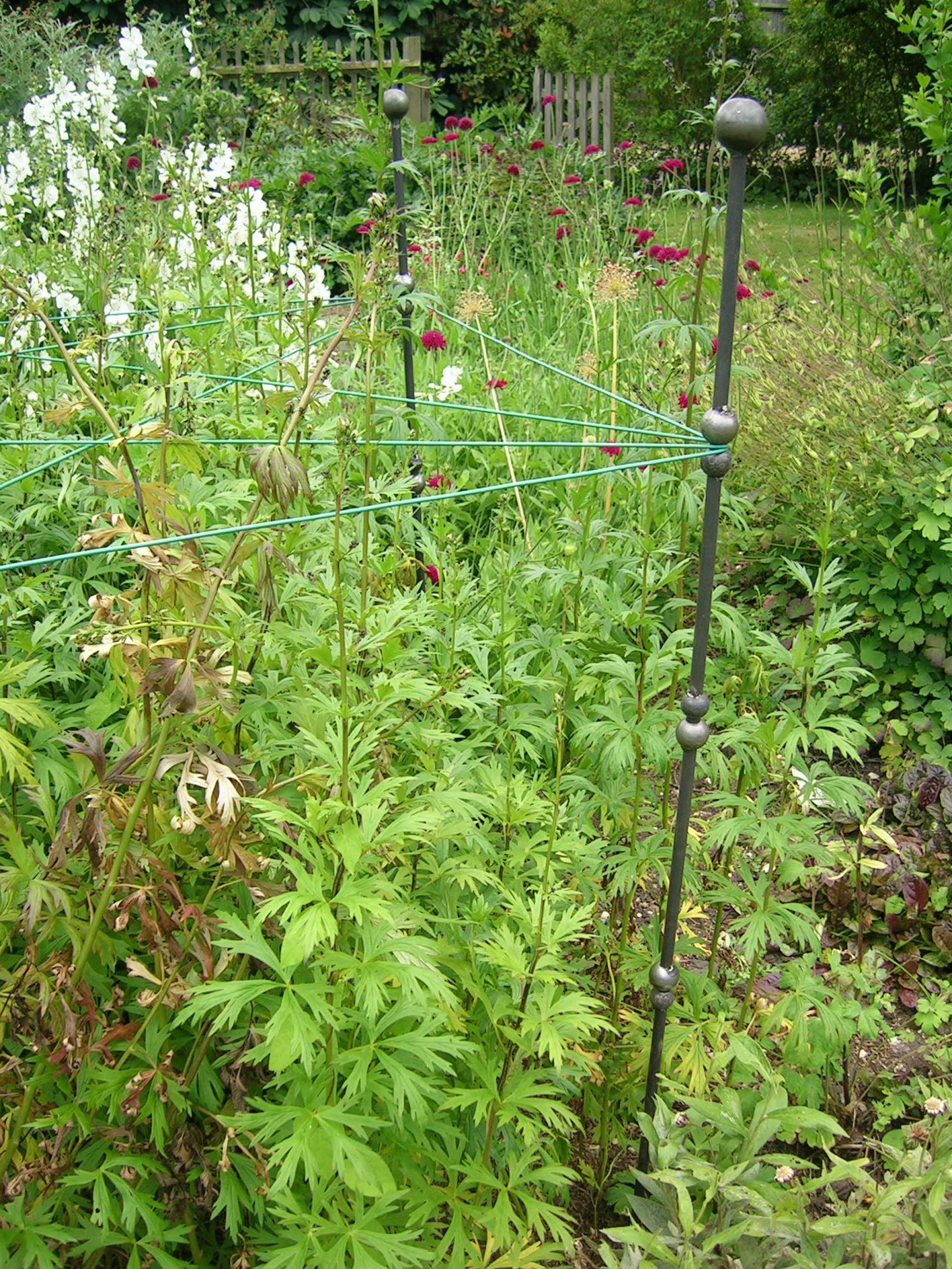 Metal Garden Plant Support Stakes