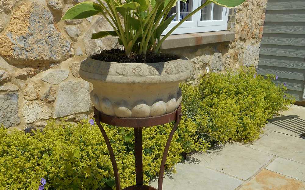 Plant Pot Stands