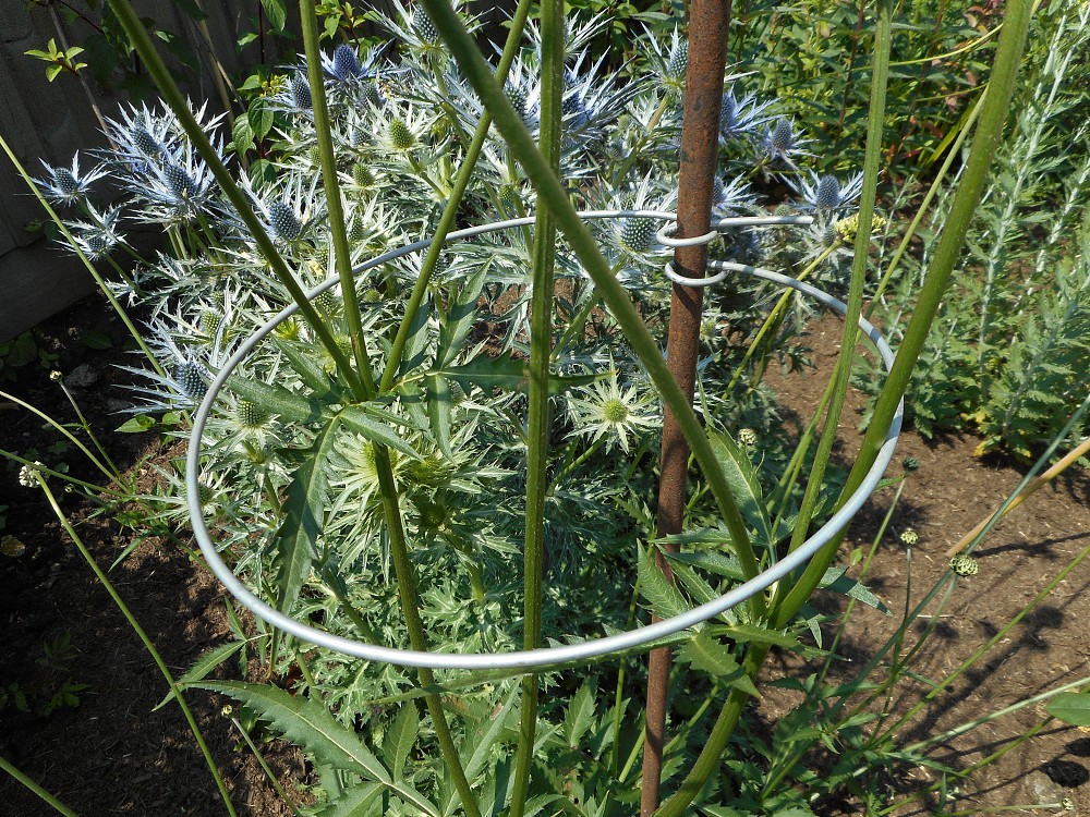 Plant Support Stakes PS2 Garden Plant Supports Supports 4 Plants