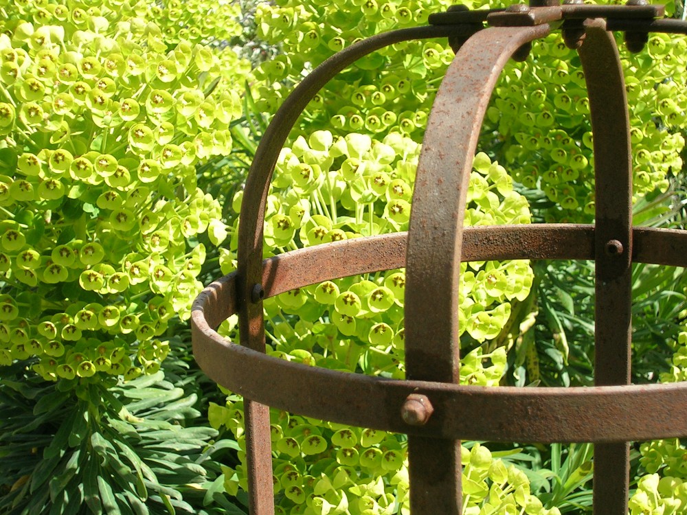 Garden Obelisks Metal Obelisk Plant Support Supports 4 Plants