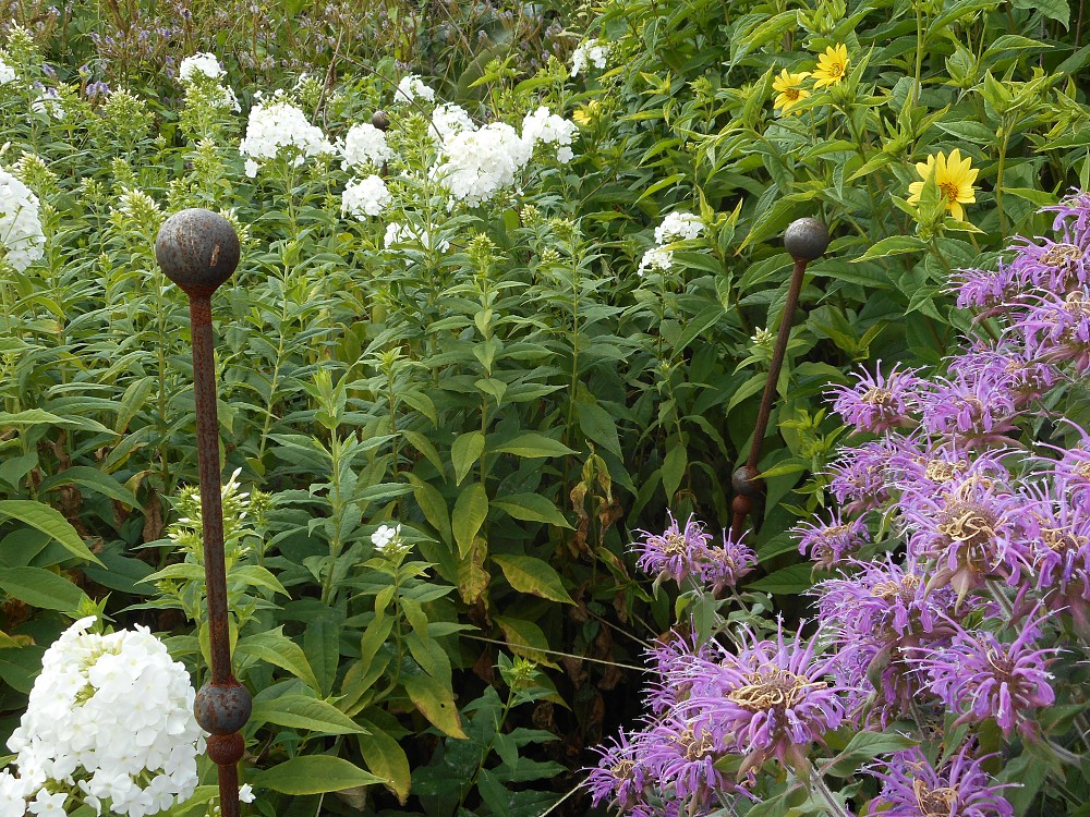 Gallery Plant Supports Garden Obelisks Outdoor Obelisk Basket